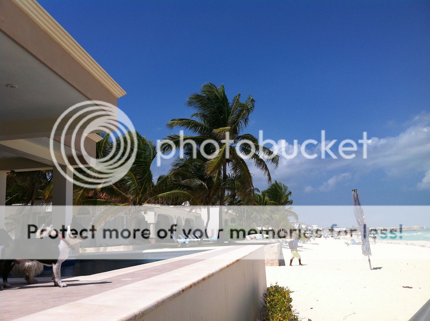Playacar Phase I is Pure Beachfront Relaxation and Comfort!El mayor